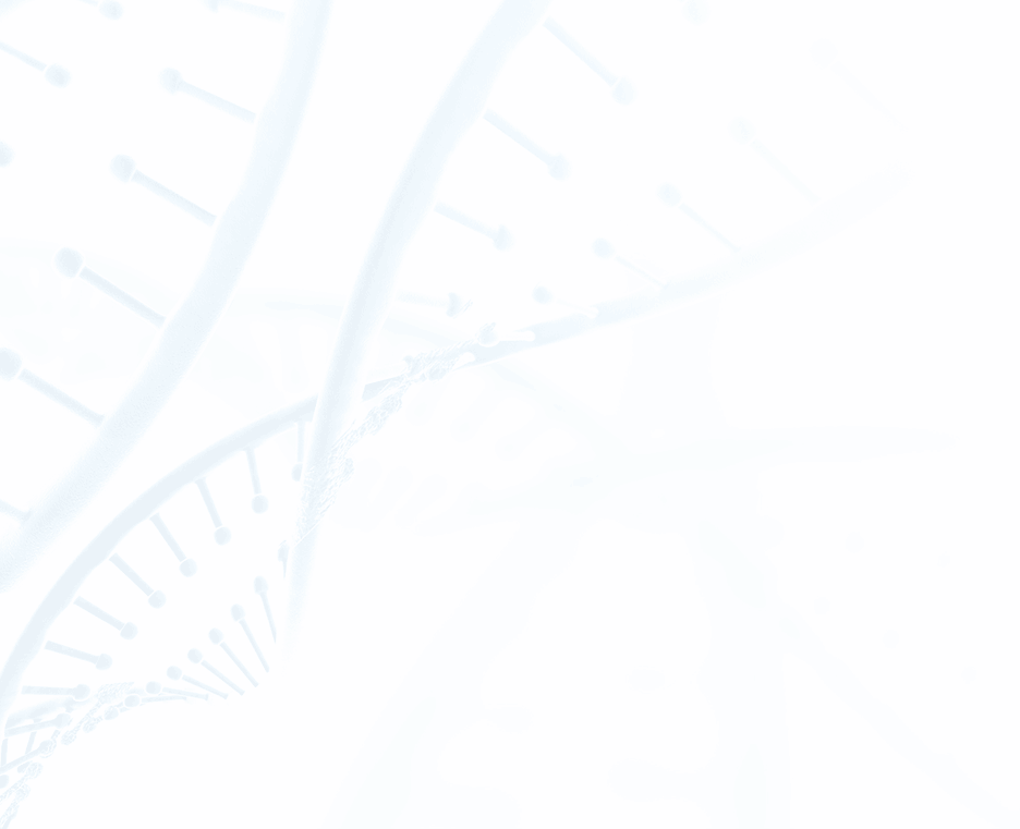 slider-d-02.png