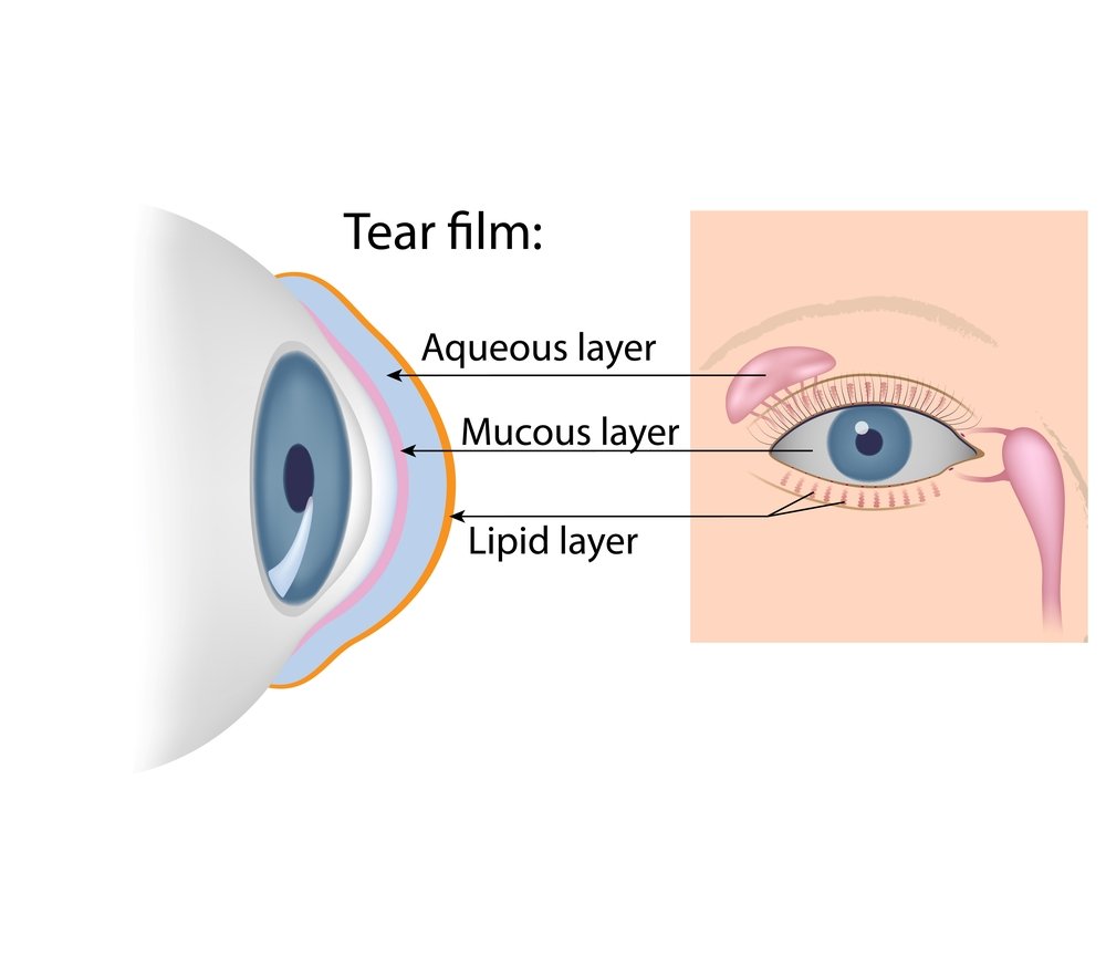 The Importance Of Your Tear Film | Shinagawa Blog