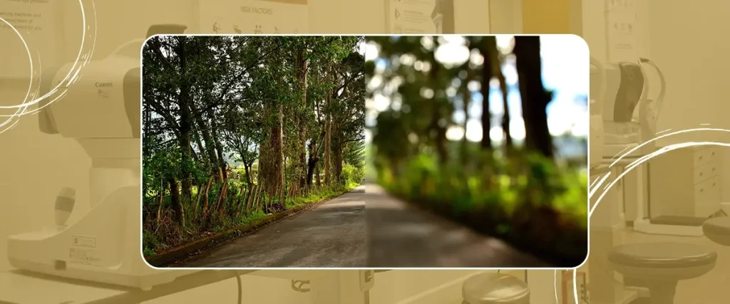 Split view of a forest road showing clear and blurry vision, representing the effects of uncorrected refractive errors like astigmatism