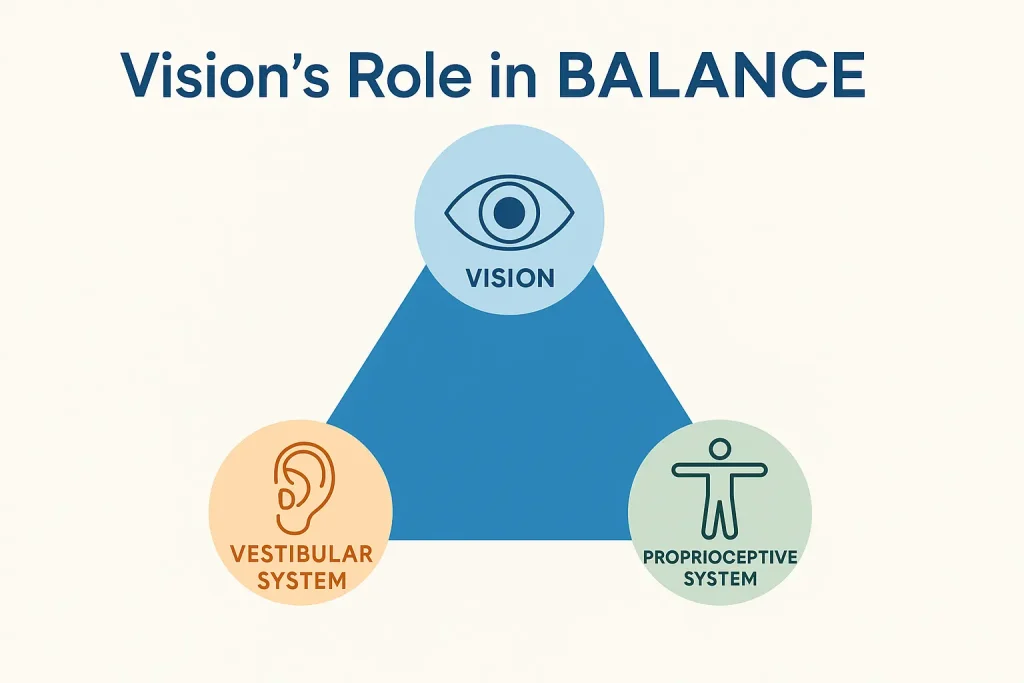Diagram showing vision’s role in balance alongside the vestibular and proprioceptive systems
