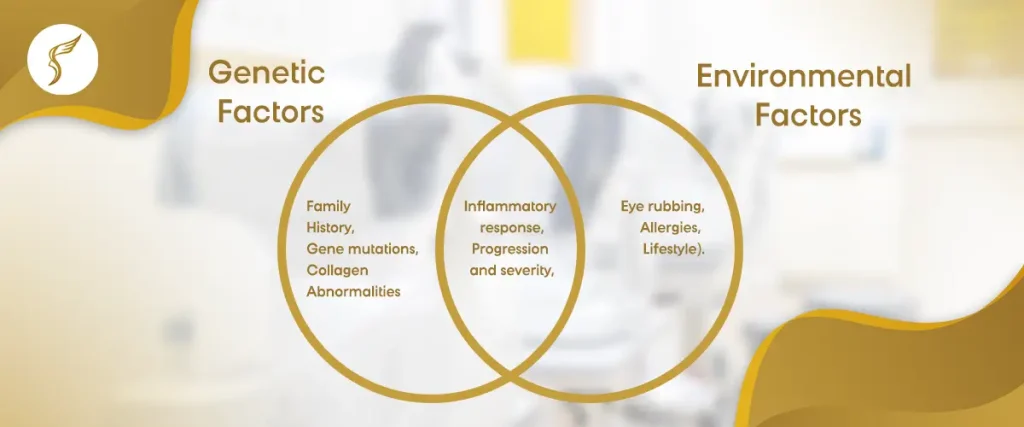 Venn diagram showing genetic and environmental factors of eye conditions, including family history, gene mutations, collagen abnormalities, eye rubbing, allergies, and lifestyle