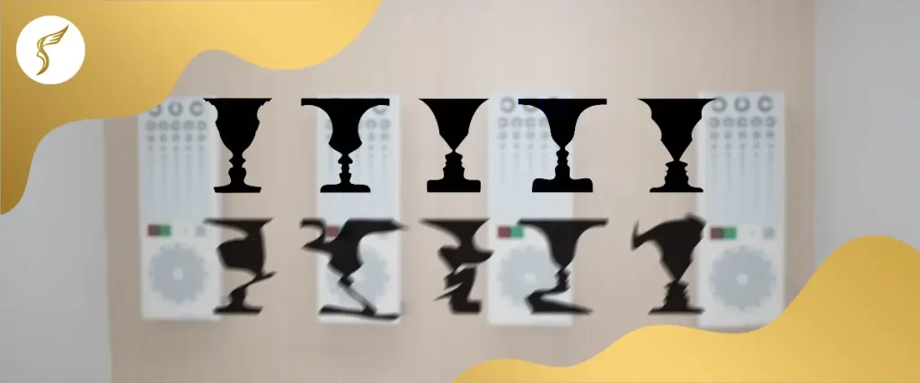 Visual perception illusion test showing face–vase optical illusion used in eye exams to assess visual processing and brain interpretation of images.
