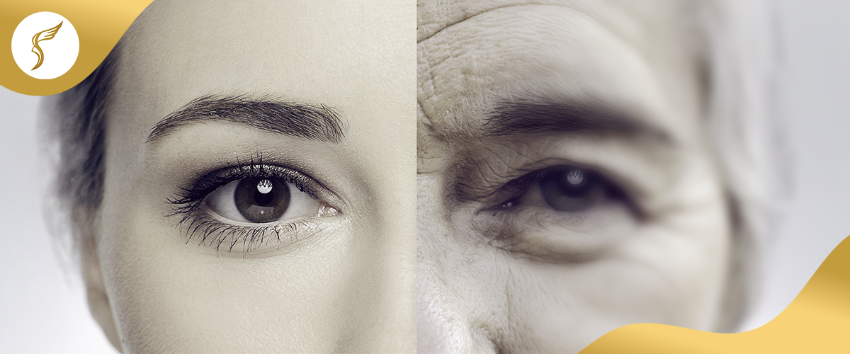 How Aging Affects our Eyes cover